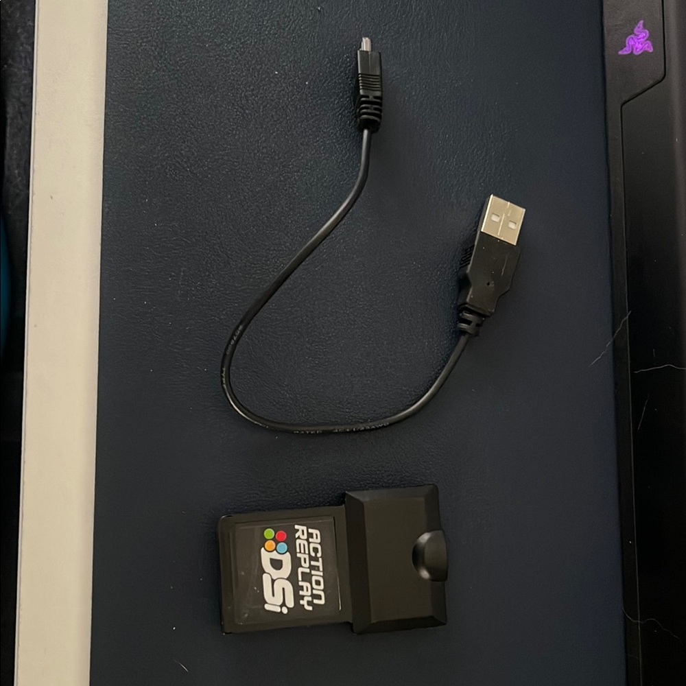 Action Replay DSi with USB Cable